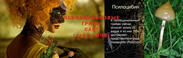 гидра Арсеньев