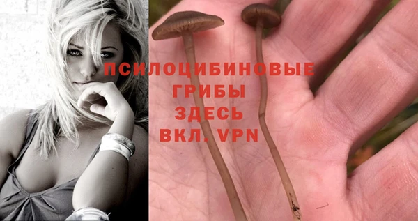 гидра Арсеньев