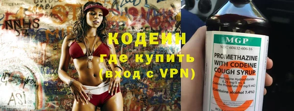 индика Горнозаводск