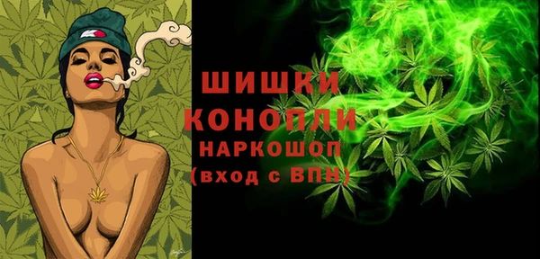 гидра Арсеньев